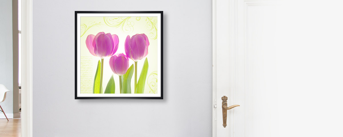Tulpen Poster