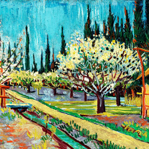 Vincent Van Gogh Obstgarten umgeben von Zypressen