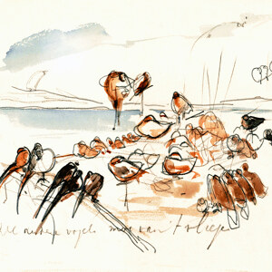 Theo van Hoytema Wie die Voegel einen Koenig bekamen