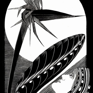 Samuel Jessurun de Mesquita Strelitzia