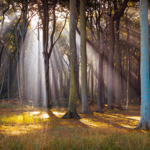 Gespensterwald Panorama