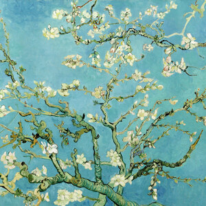 Vincent van Gogh Mandelbluete