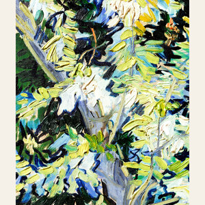 Vincent van Gogh Bluehende Akazienzweige