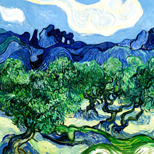 Vincent van Gogh Olivenbaeume mit den Alpilles im Hintergrund