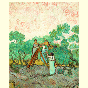 Frauen pfluecken Oliven Vincent van Gogh