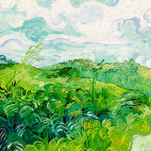 Vincent van Gogh Gruene Weizenfelder