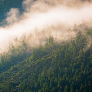 Sommernebel in den Alpen
