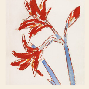 Christian Rohlfs Roter Amaryllis