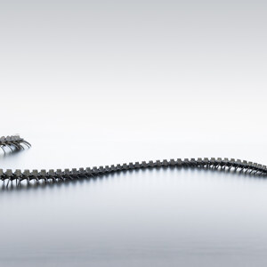 Serpent d Ocean? Saint Nazaire