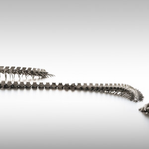 Serpent d Ocean II? Saint Nazaire