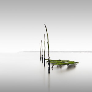 Ostreicole III Frankreich