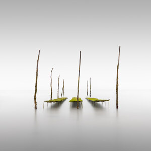 Ostreicole IV Frankreic