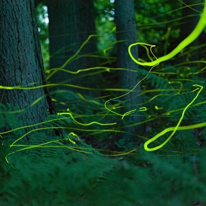 Leuchtende Schleifen in der Nacht