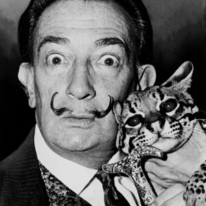 Dali mit Ozelot-Freund