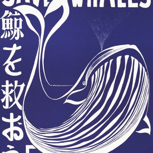 Save the whales