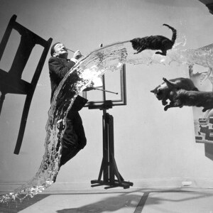 Salvador Dali mit fliegenden Katzen