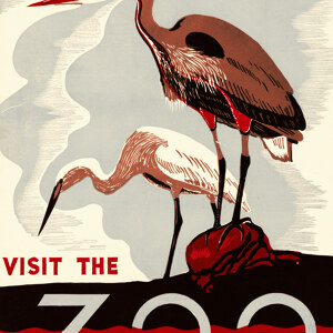 Visit The Zoo