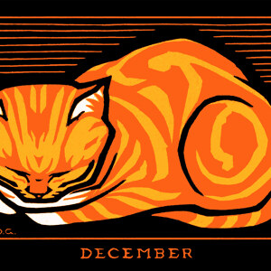 December Cat