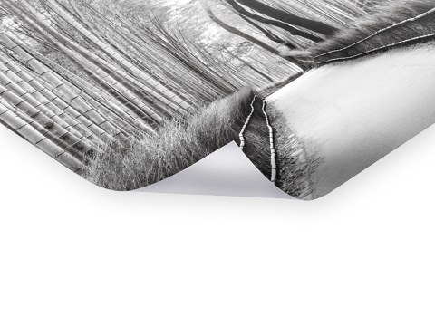 Arashiyama Bambuswald Kyoto