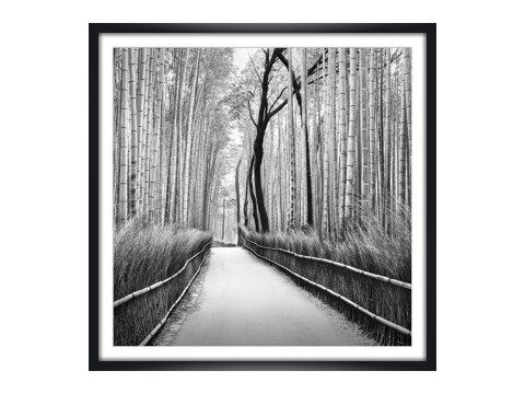 Arashiyama Bambuswald Kyoto