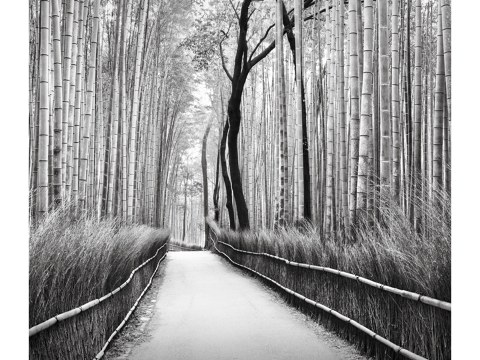 Arashiyama Bambuswald Kyoto