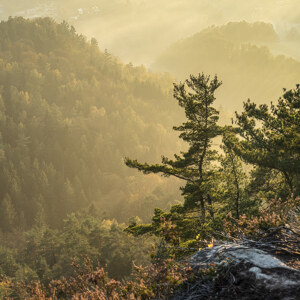 Basteiaussicht im Nebel II Elbsandsteingebirge