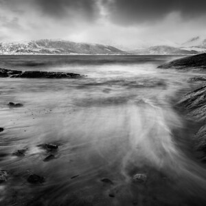 Black and White Coast