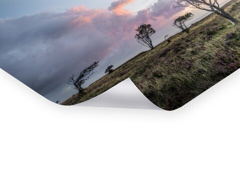 Braderuper Heide Sylt