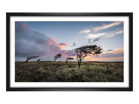 Braderuper Heide Sylt