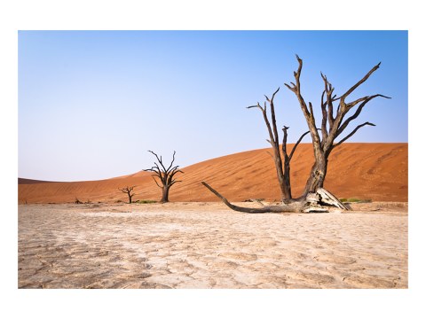 Sonnenaufgang im Dead Vlei
