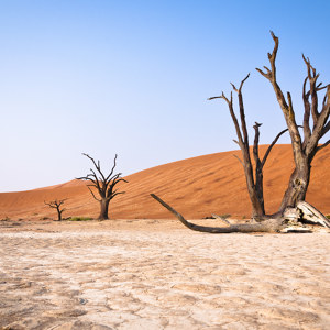 Sonnenaufgang im Dead Vlei