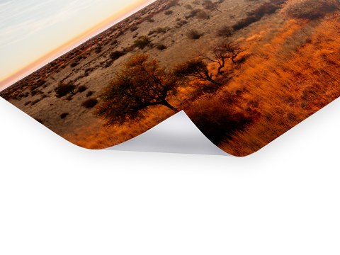 Kalahari Sonnenaufgang