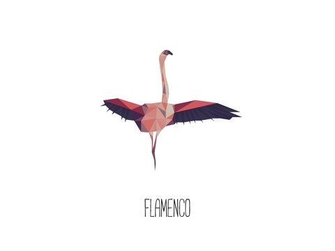 Flamenco