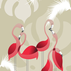 Flamingoes in love