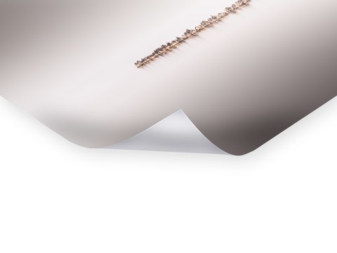 Flooded - Fine Art Photography