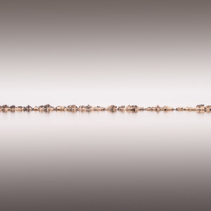 Flooded - Fine Art Photography