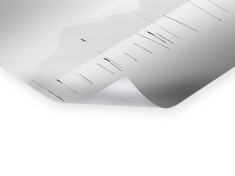 Four Birds - Lago Trasimeno Italien