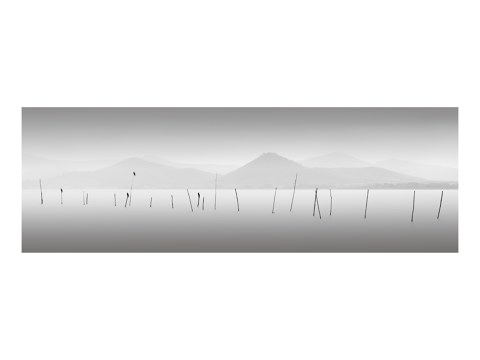 Four Birds - Lago Trasimeno Italien