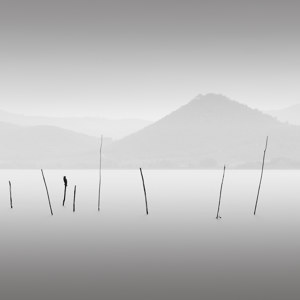 Quattro Uccelli - Lago Trasimeno Italia