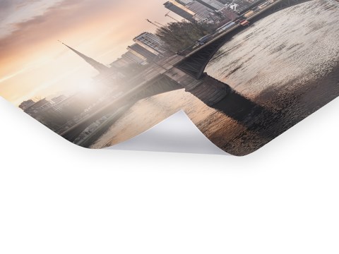 Frankfurt Main Study 2