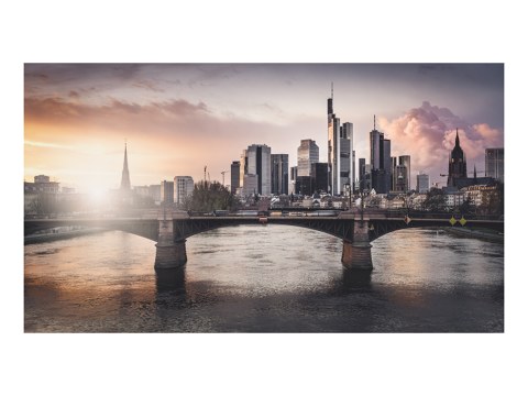 Frankfurt Main Study 2