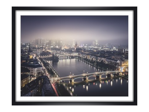 Frankfurt Main Study