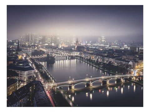 Frankfurt Main Study