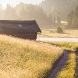 Goldener Morgen in den Bergen