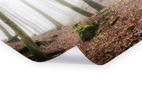 Nebel des Lichtenfels