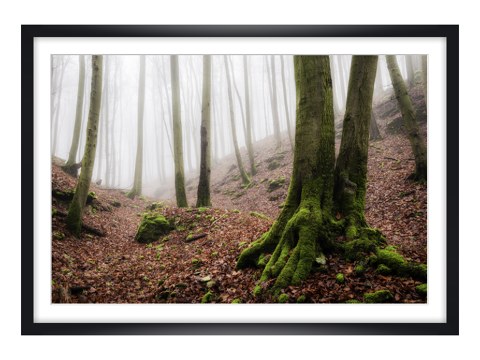 Nebel des Lichtenfels