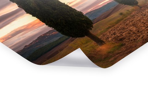 Zypressenblick in der Toskana