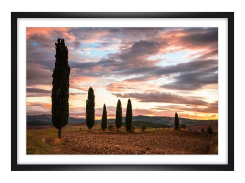 Zypressenblick in der Toskana