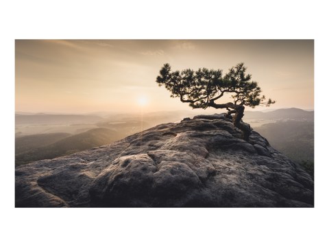 Heimat der Sonne Saechsische Schweiz Lilienstein