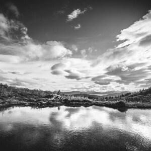 Herbst in Schwarzweis